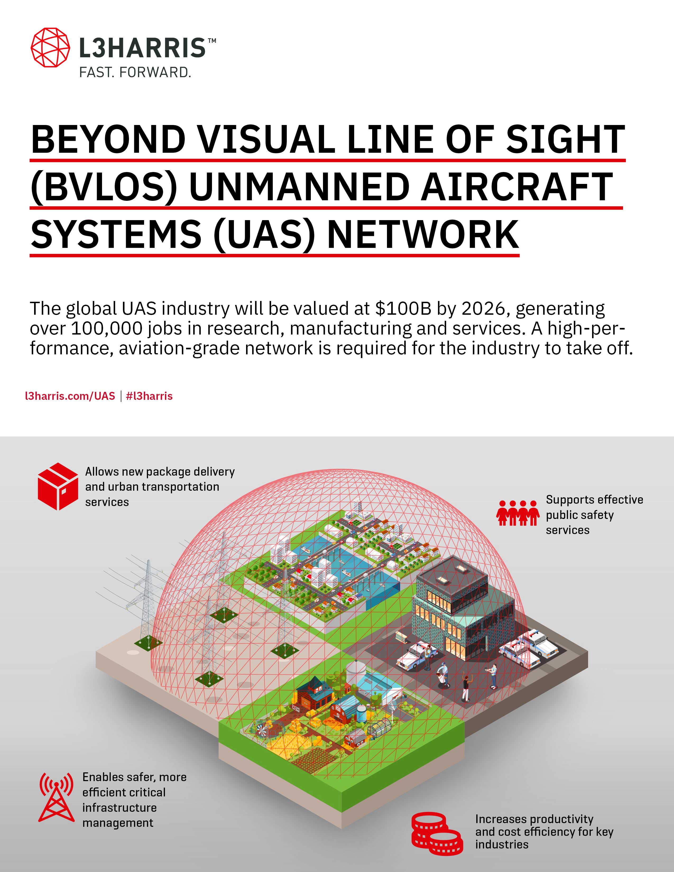 Beyond Visual Line of Site UAS Network
