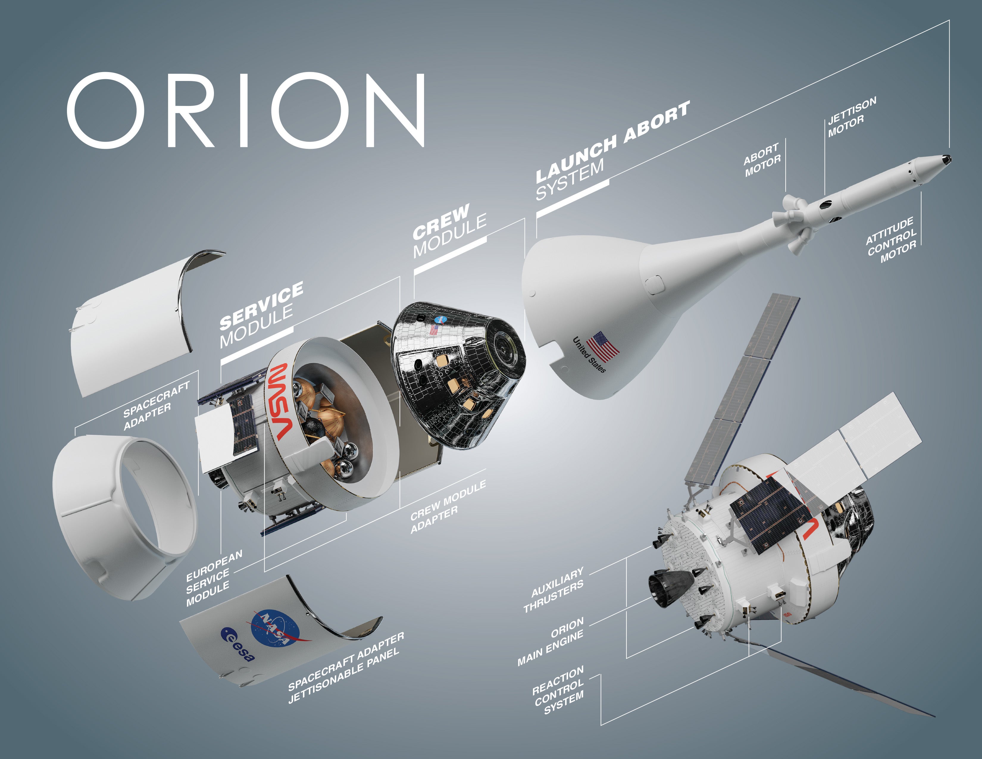 Orion Sections