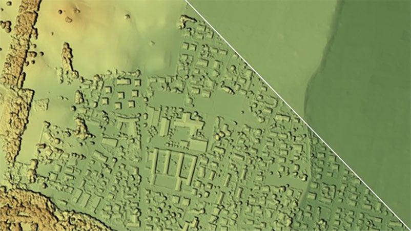 Vexcel Data Program Digital Surface Model imagery
