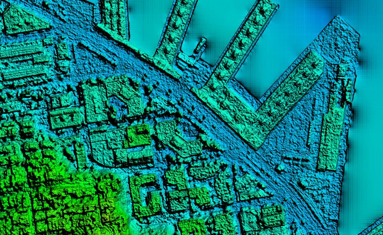 Vexcel Data Program Digital Surface Models imagery