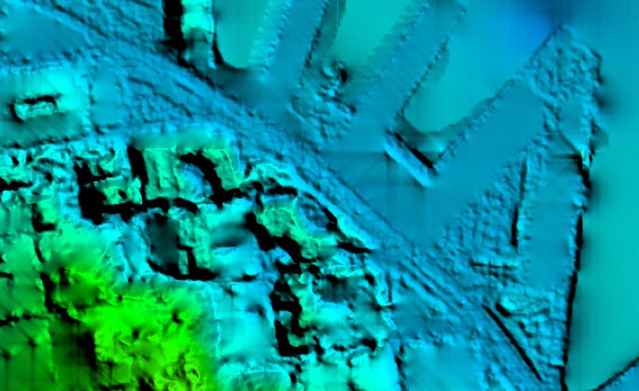 Vexcel Data Program Digital Terrain Models imagery