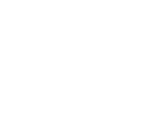 EVEREST logo