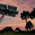 solar panel at dusk with palm trees