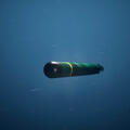 An artist's rendering of a torpedo