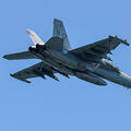 NGJ on EA-18G aircraft for low band electronic warfare