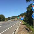 New york highway winds through trees