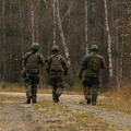 Soldiers walk in forest