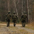 Soldiers walk in forest