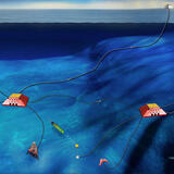 Marine Cable Installation Services