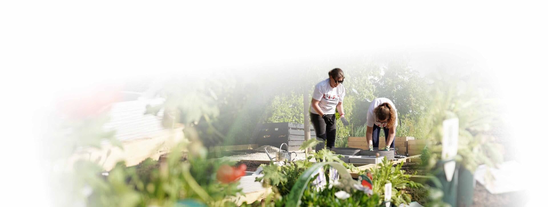 L3Harris employees doing gardening on a bright, sunny day