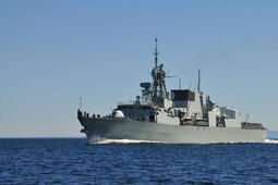 Integrated Platform Management Systems