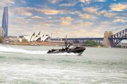 Advancing Defense Capabilities Through Collaborative Innovation