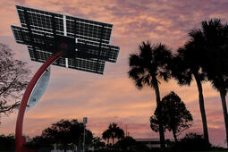 solar panel at dusk with palm trees