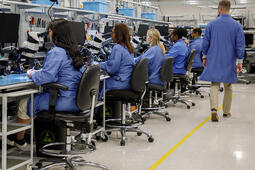 Employees work in laboratory