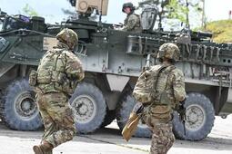 Live iterations for Palehorse Troop