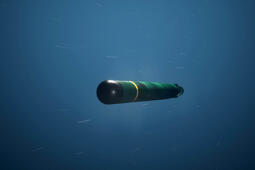 An artist's rendering of a torpedo