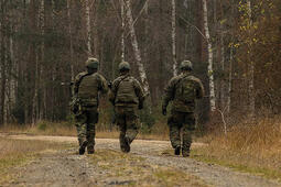 Soldiers walk in forest