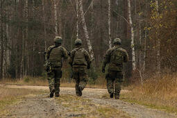 Soldiers walk in forest