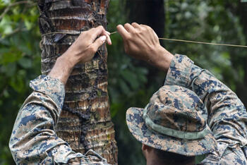 Soldier attaching radio antenna to tree