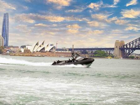 Advancing Defense Capabilities Through Collaborative Innovation