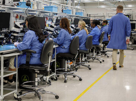 Employees work in laboratory