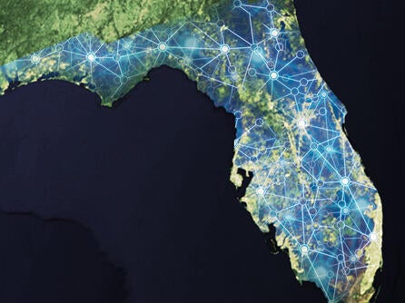 My Florida Network - Network Grid