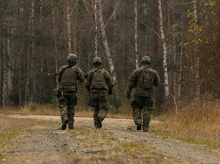 Soldiers walk in forest