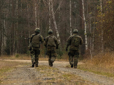 Soldiers walk in forest