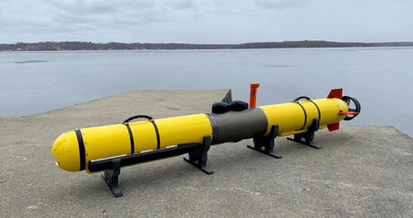 Iver4 900 UUV