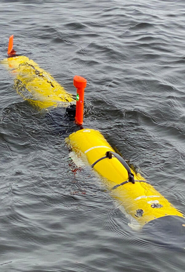 Iver4 580 UUV