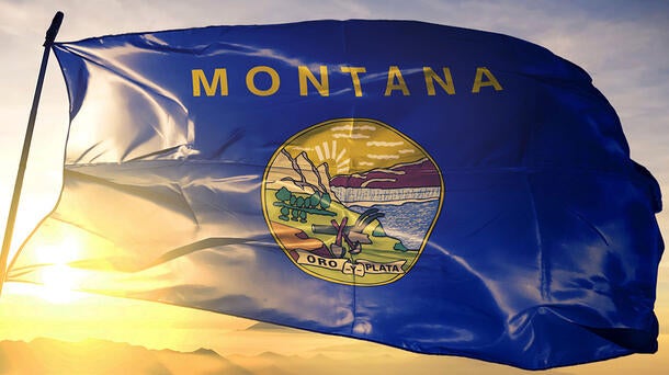Montana state flag for Flathead County Sheriff’s Department