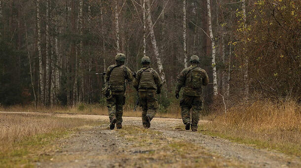 Soldiers walk in forest