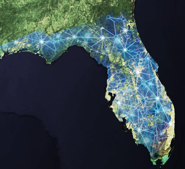 My Florida Network - Network Grid