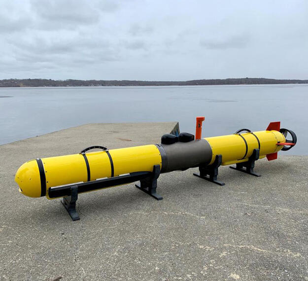 Iver4 900 UUV