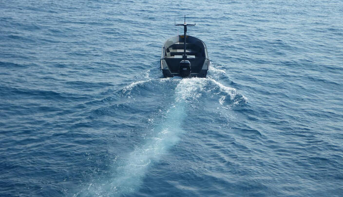C-Target 6 ASV