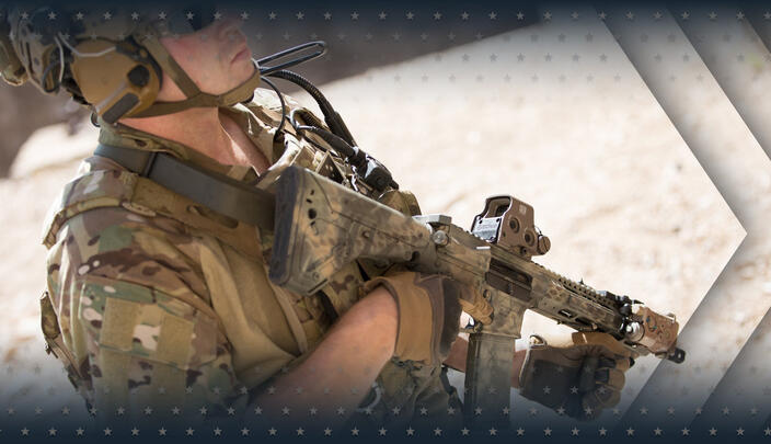 Holographic Weapon Sight (HWS)