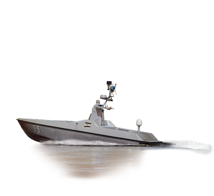 Arabian fox vessel