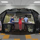 Orchid® IX: Incredibly Accurate 3D Immersion