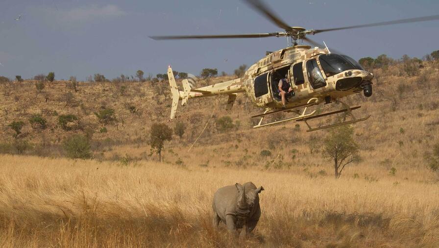 Helicopter above Rhino